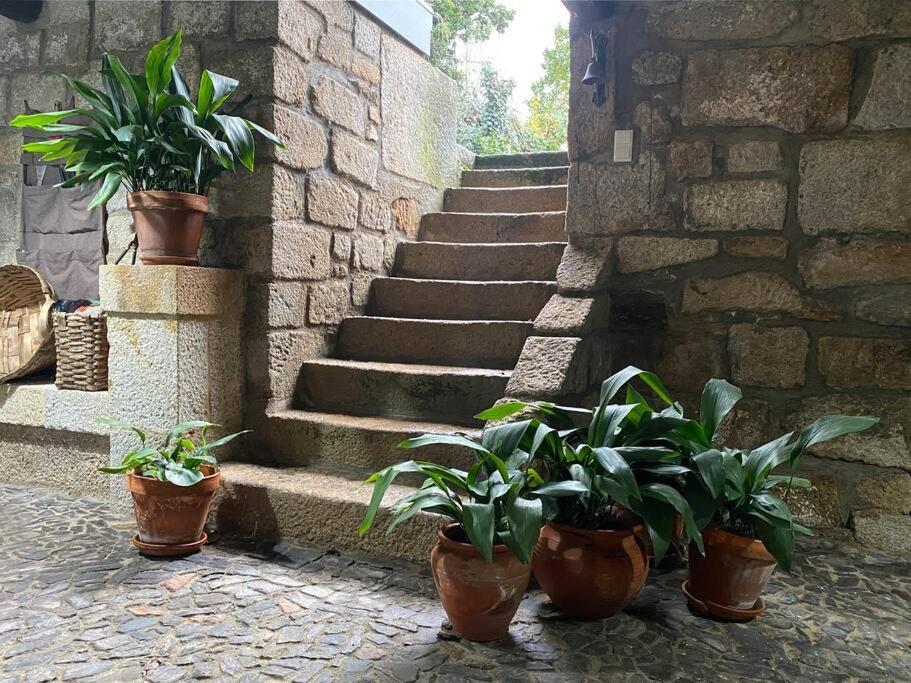 Esquina Do Visconde, Guesthouse Torre de Moncorvo Kültér fotó